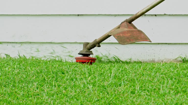 Best Organic Lawn Care Solutions  in Refugio, TX